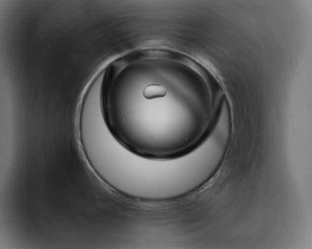 X0000093261392200710031556