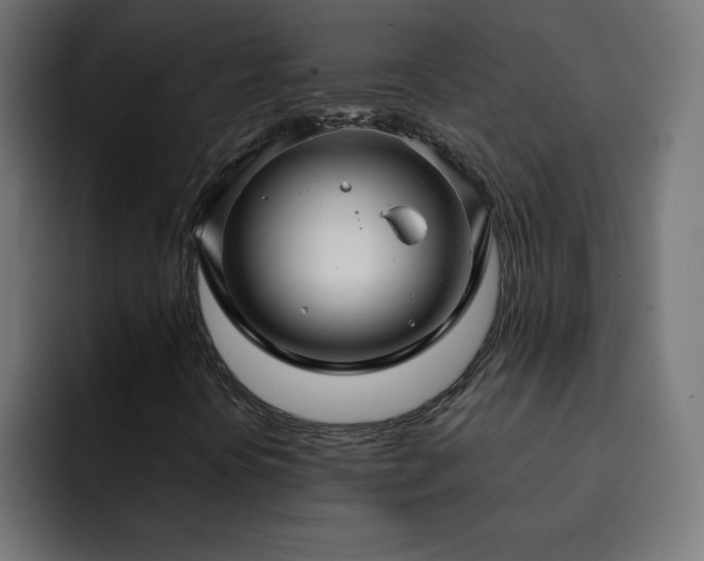 X0000093261394200710031555