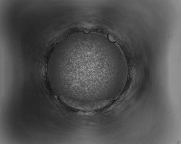 X0000093261397200710031555