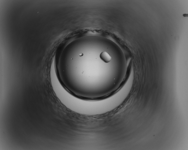 X0000093261398200710031555