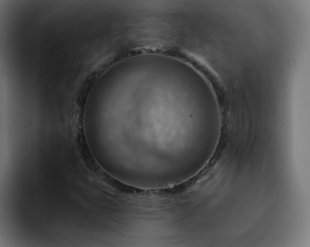 X0000093261399200710031555