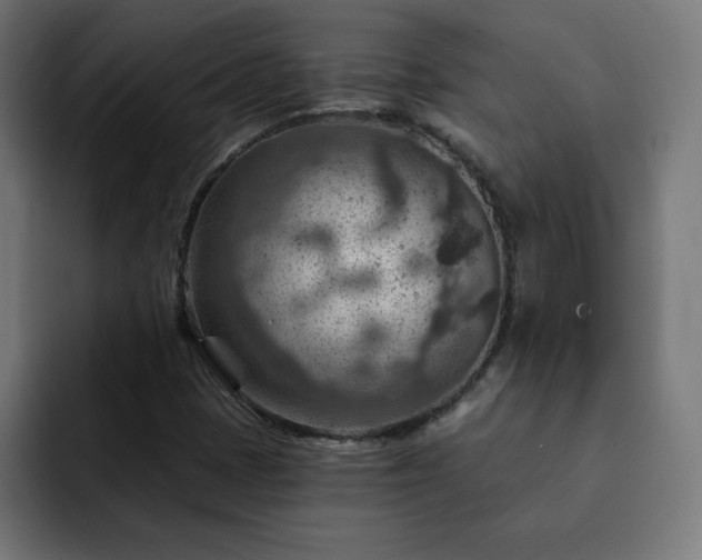X0000093261401200710031555