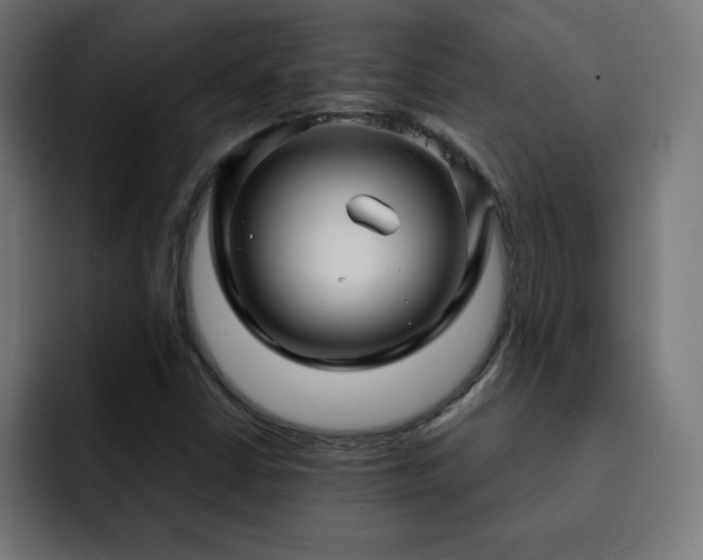 X0000093261402200710031555