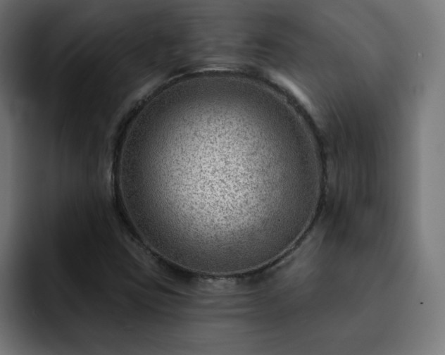 X0000093261403200710031555