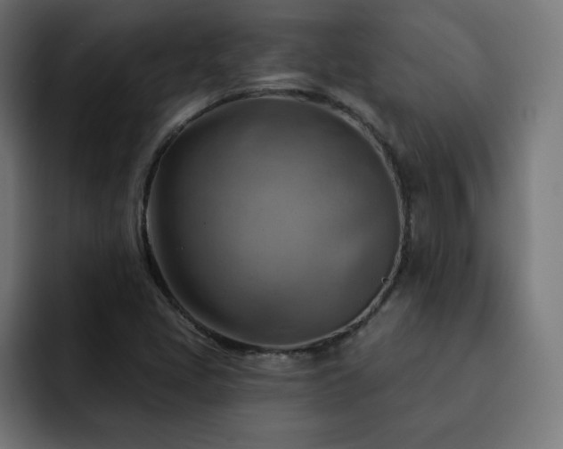 X0000093261405200710031555