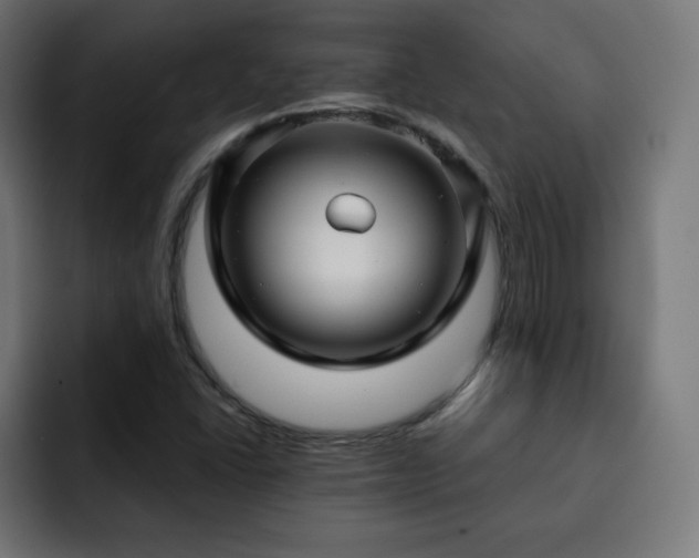 X0000093261406200710031555
