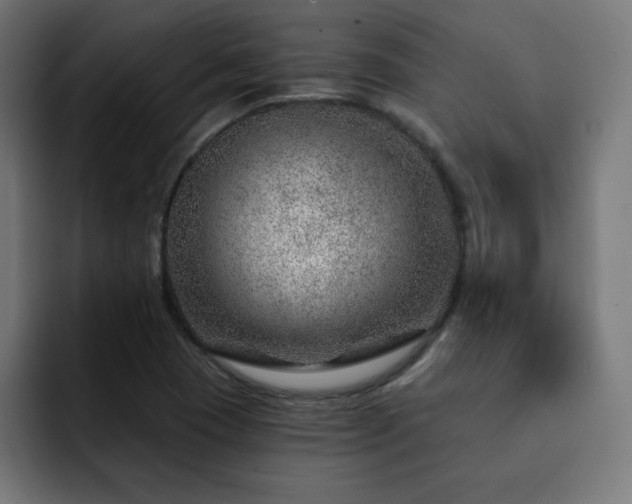 X0000093261409200710031555