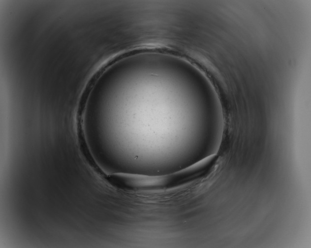 X0000093261412200710031555