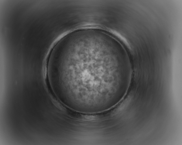 X0000093261413200710031555