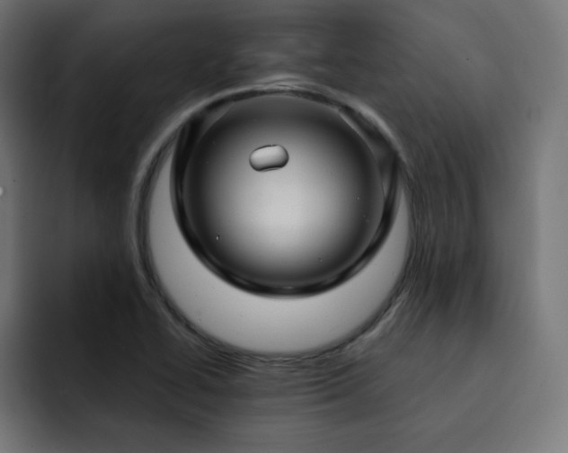 X0000093261414200710031555