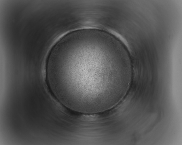 X0000093261415200710031555