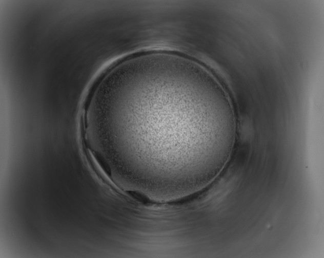 X0000093261416200710031555