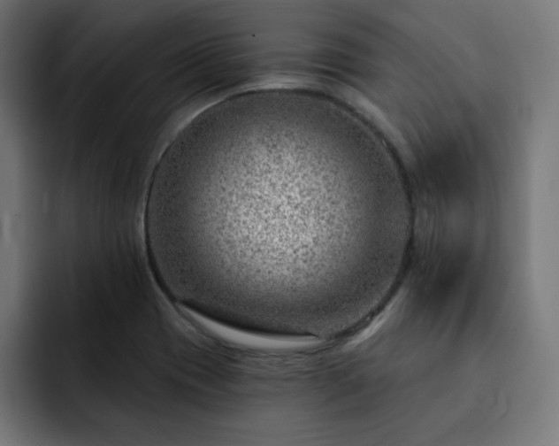 X0000093261417200710031555