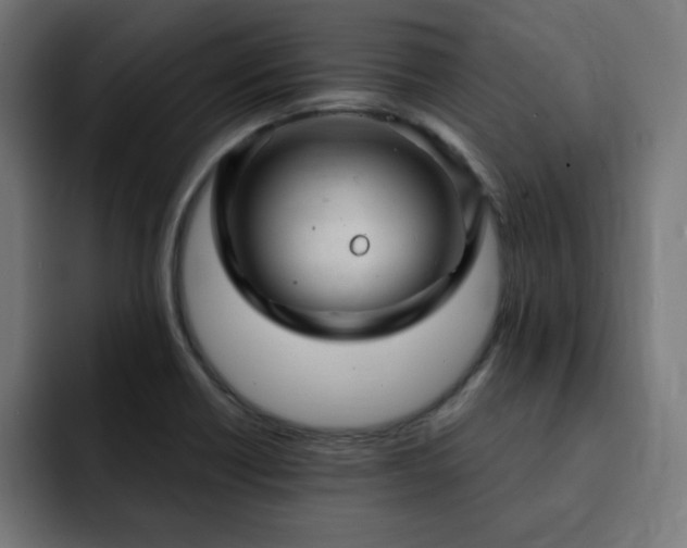 X0000093261418200710031555