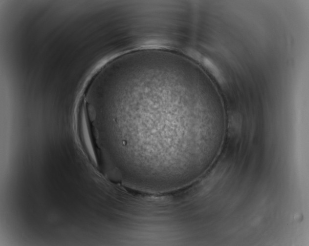 X0000093261419200710031556