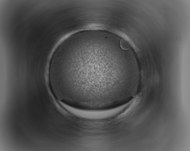X0000093261421200710031556