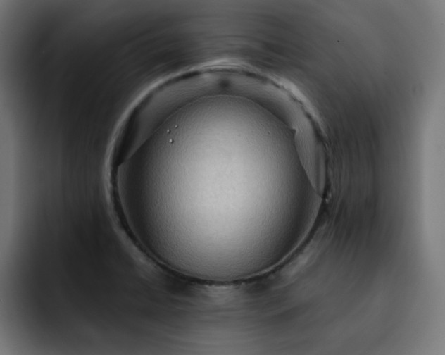 X0000093261422200710031556