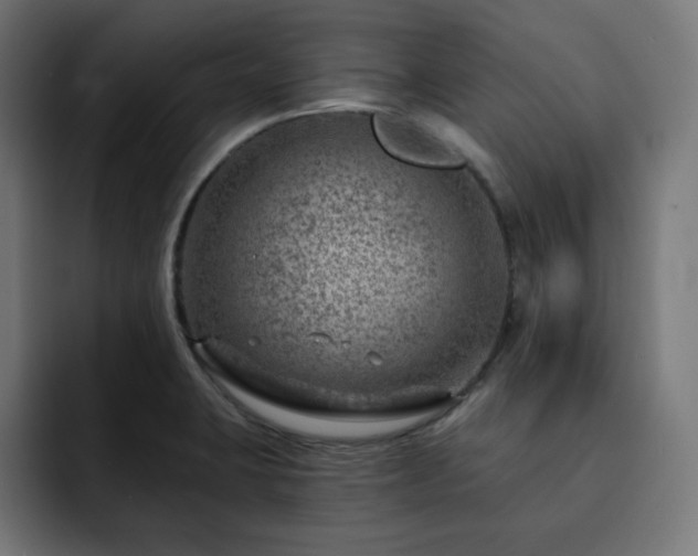 X0000093261423200710031556