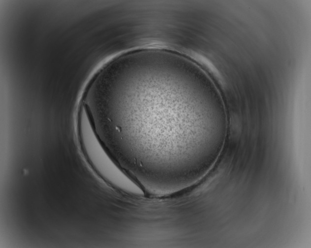 X0000093261424200710031556