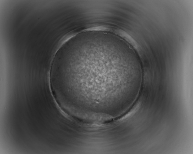 X0000093261425200710031556