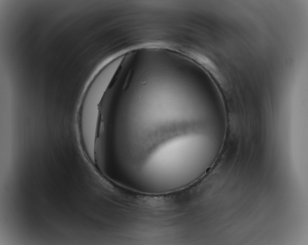 X0000093261428200710031556