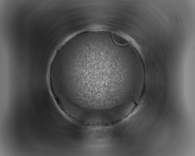 X0000093261429200710031556