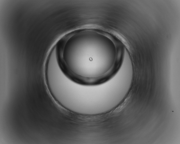 X0000093261430200710031556