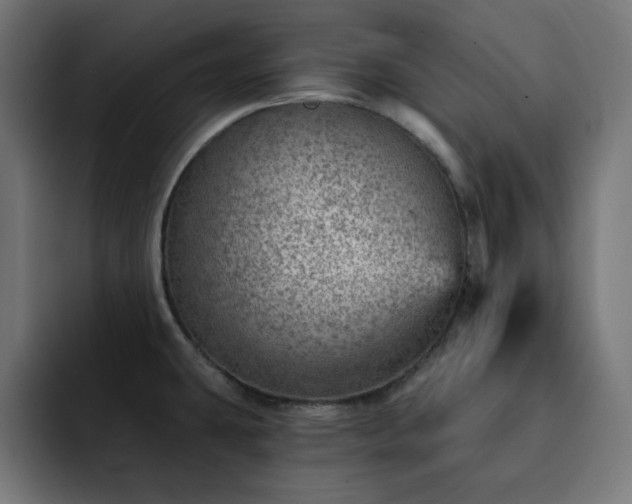 X0000093261431200710031556