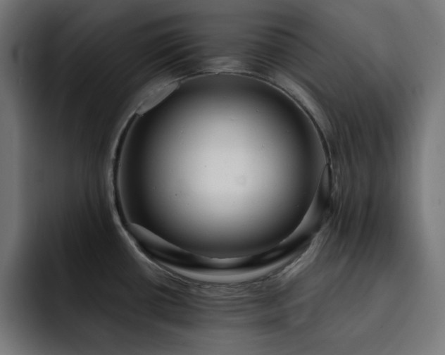 X0000093261434200710031556