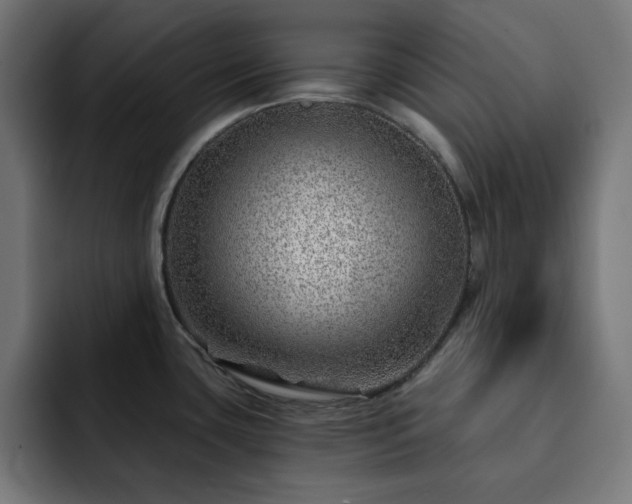 X0000093261435200710031556