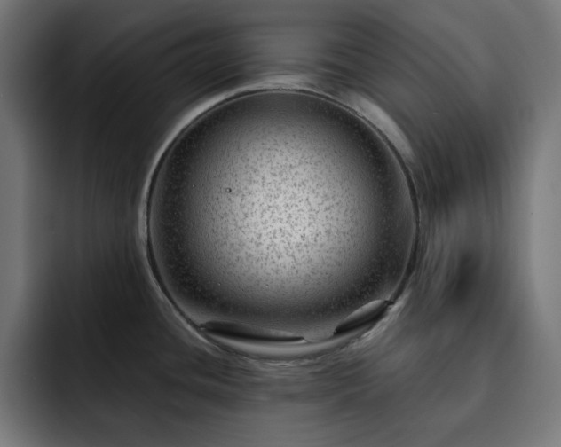 X0000093261436200710031556