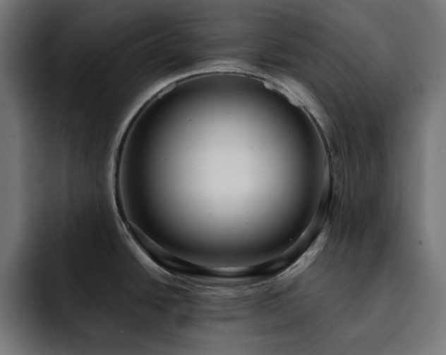 X0000093261438200710031556