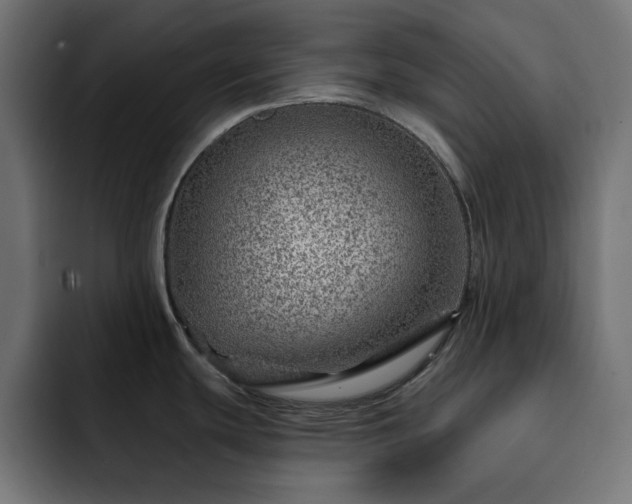X0000093261439200710031556