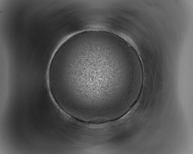 X0000093261440200710031556