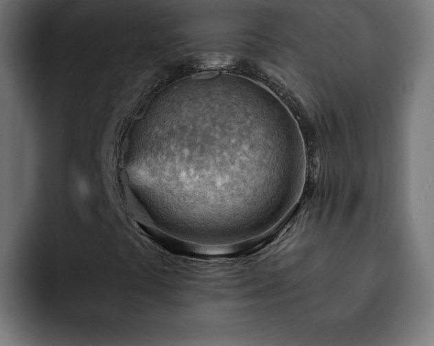 X0000093261441200710031555