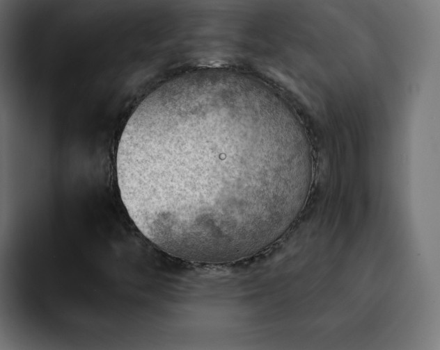 X0000093261446200710031555