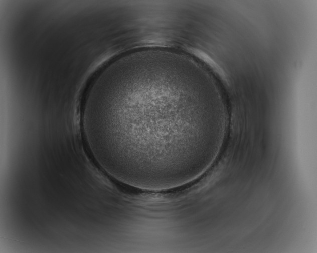 X0000093261450200710031555