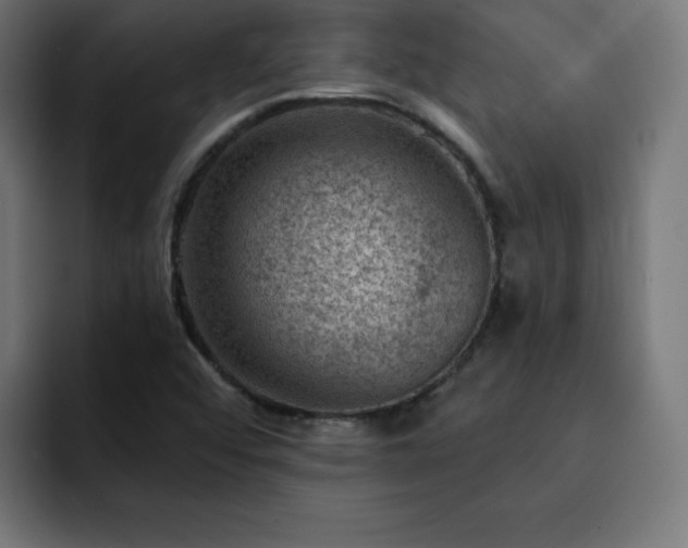 X0000093261456200710031555