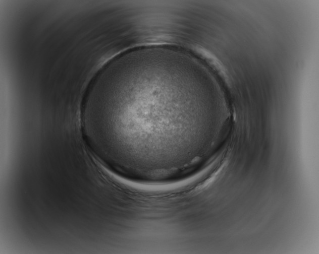 X0000093261457200710031555