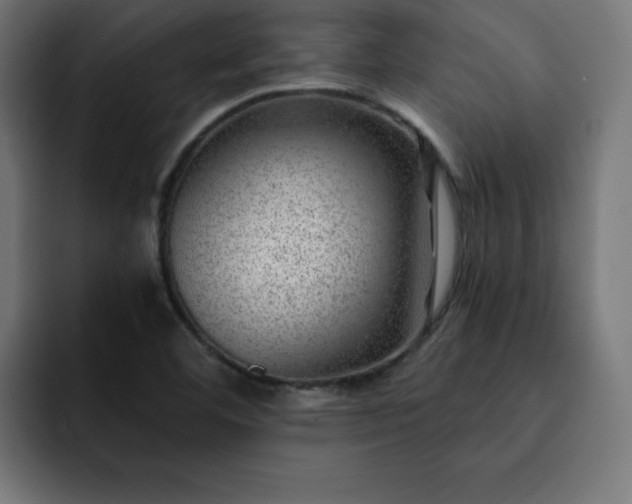 X0000093261460200710031555