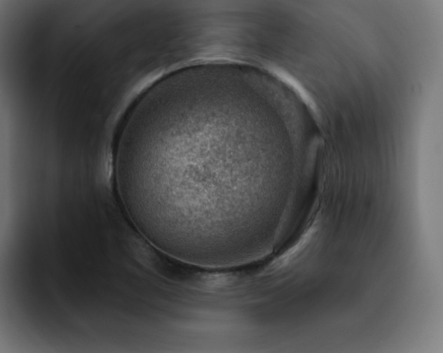 X0000093261461200710031555