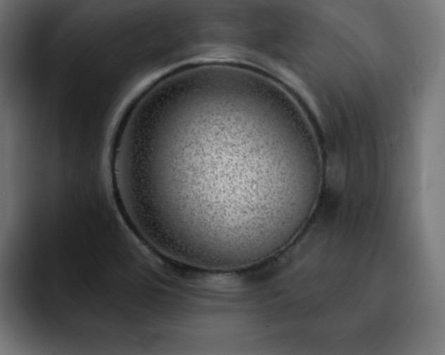 X0000093261464200710031555