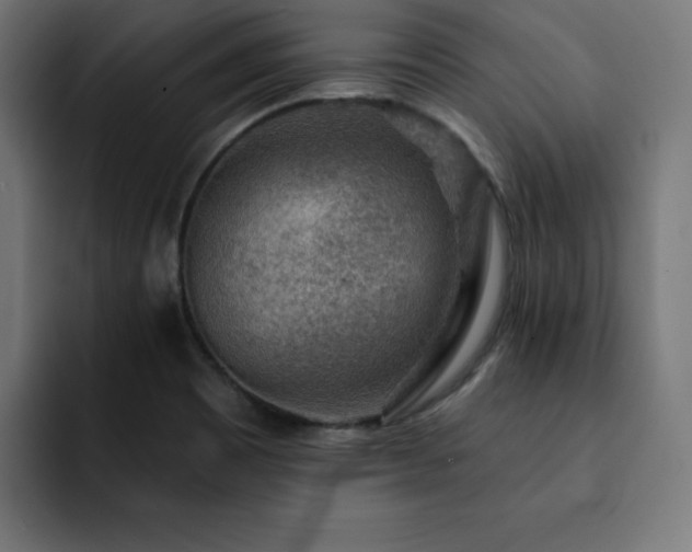 X0000093261465200710031555