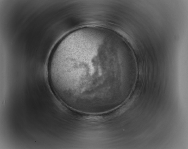 X0000093261466200710031555