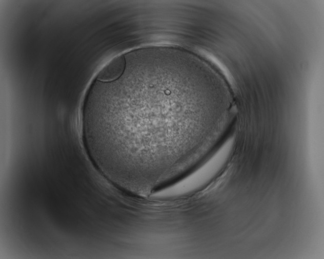X0000093261467200710031555