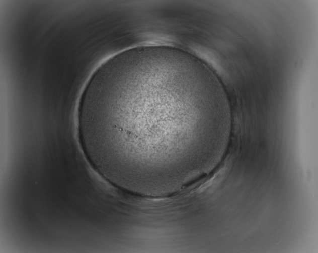 X0000093261471200710031555