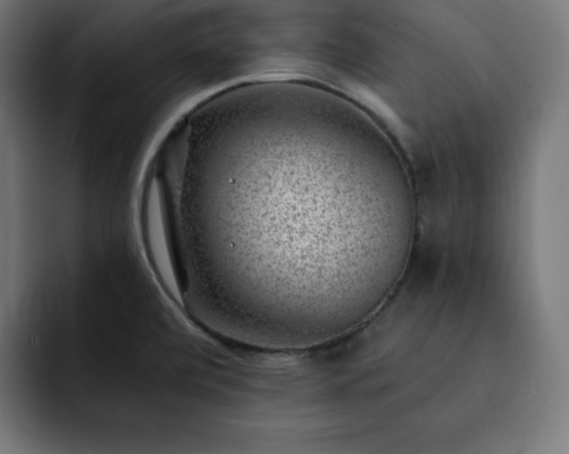 X0000093261472200710031555