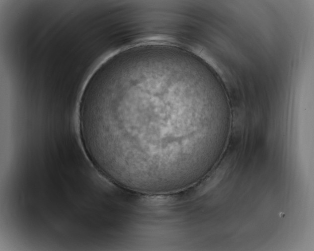 X0000093261474200710031555