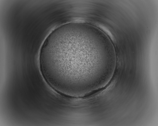 X0000093261475200710031555