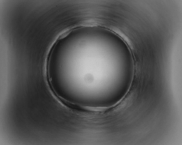 X0000093261477200710031555